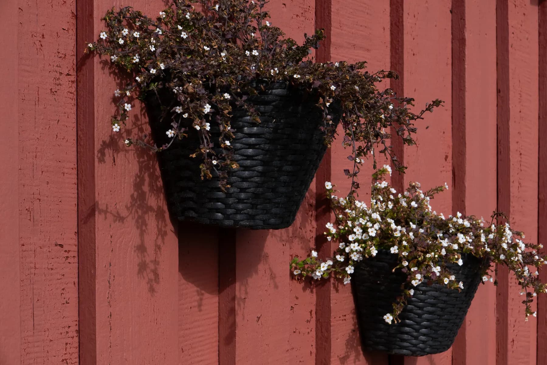 Djúpivogur detail of red building and flower baskets