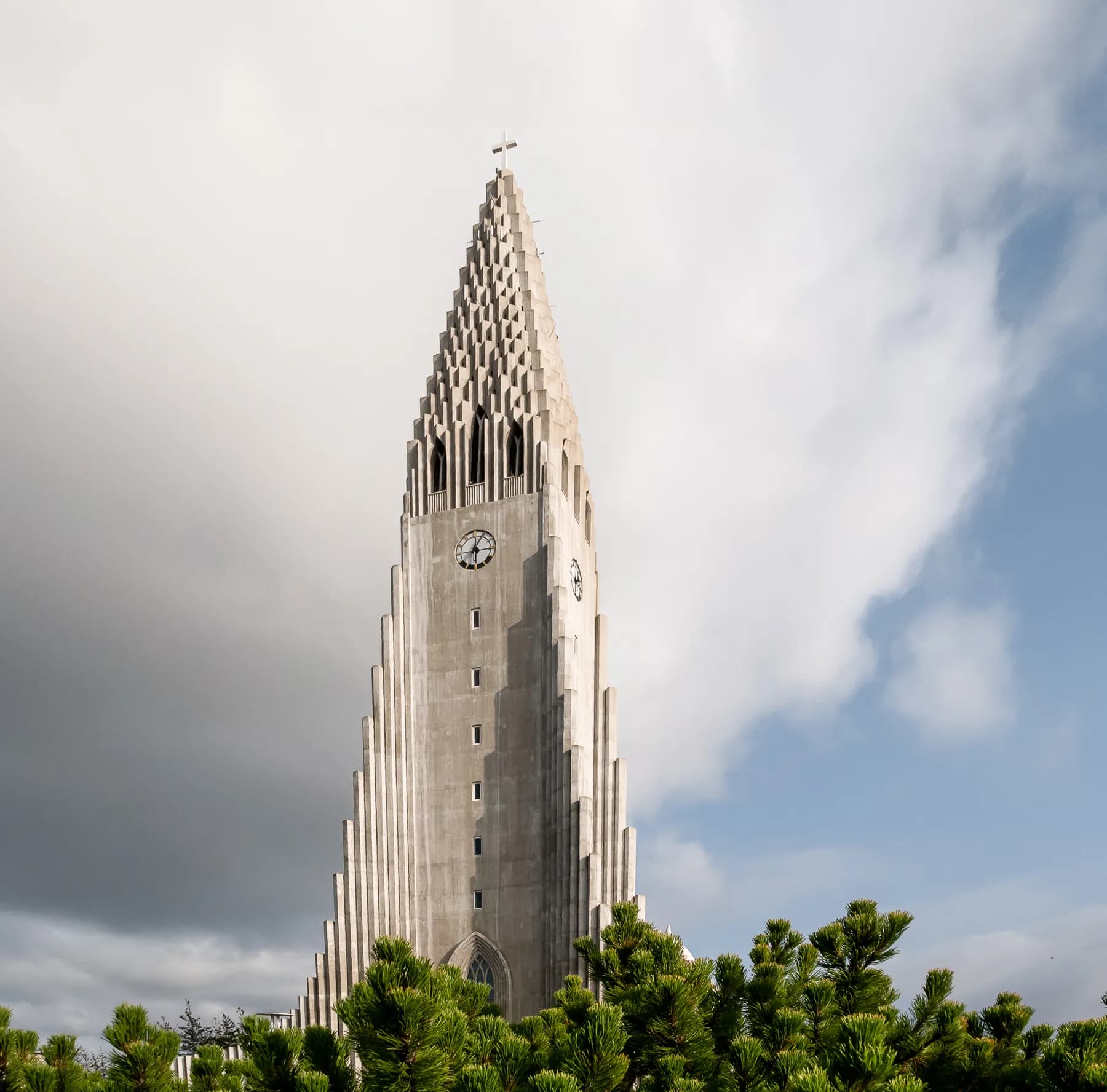 Hallgrímskirkja grounded by tree foliage