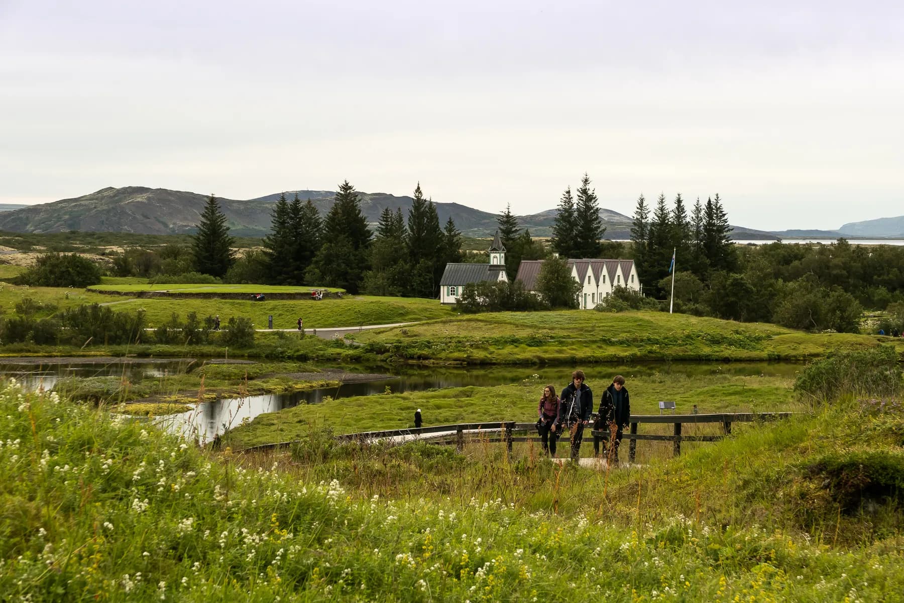 Scenic overlook of Þingvellir National Park with green fields, water, and distant mountains.