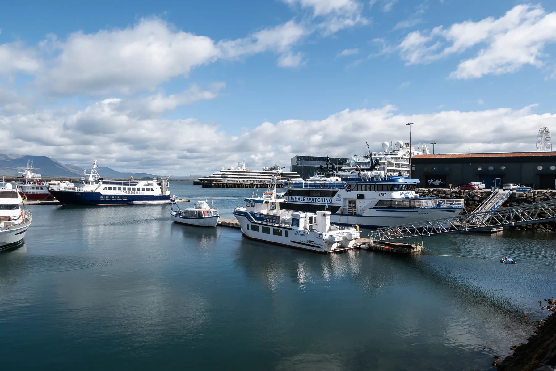 Main Harbor view of Reykjavik, Iceland